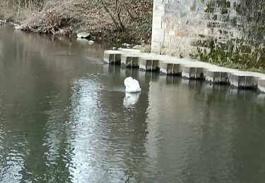 Excursión Marcha nórdica Chartres - Pl.Drouaise  - Photo