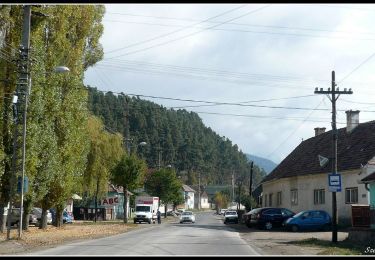 Tocht Te voet Gheorgheni - oraș Gheorgheni - Vf. Prișca - sub Vf. Tătarul - Photo