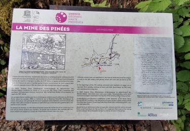 Tour Wandern Barles - tour des clues de Verdaches - Photo