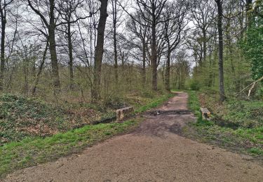 Trail Walking Boussy-Saint-Antoine - GRP CV-IDF 04 - Photo