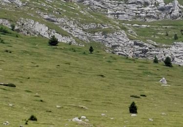 Percorso Marcia Plateau-des-Petites-Roches - LA DENT DE CROLLES - Photo