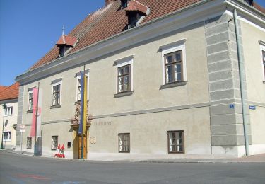 Percorso A piedi Gemeinde Kirchschlag - Langegasseweg (Kirchschlag - Sechterleiten) - Photo