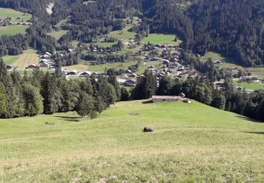 Excursión Senderismo La Chapelle-d'Abondance - sur bayard - Photo