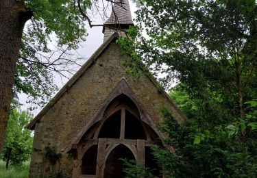 Trail Walking Mesnil-en-Ouche - St. Marguerite en Ouche - Photo