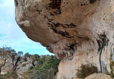 Randonnée Marche Millau - monnaie ravin des ânes,vers boffi, retour ravin monna  - Photo