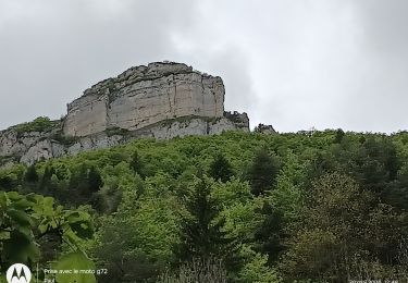 Percorso Marcia Gresse-en-Vercors - château vert - Photo