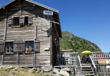 Percorso Cani da slitta Chamonix-Mont-Blanc - chx plan praz. brevet. bellachat. chx - Photo