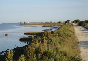 Tour Mountainbike Fouras - Soumard et les marais - Photo