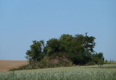 Tocht Te voet Geldenaken - Promenade de la chapelle d'Herbais - Photo
