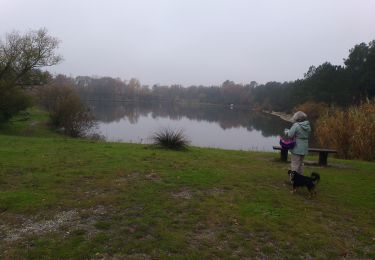 Excursión Senderismo Pessac - bourghail  - Photo