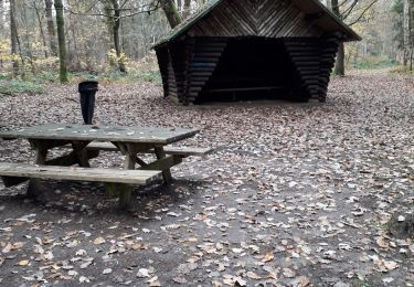 Tour Wandern Forges-les-Eaux - Forges les eaux . Lacs et forets  - Photo