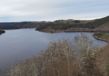 Excursión Bici eléctrica Neuvéglise-sur-Truyère - samedi 13 février 2021 - Photo