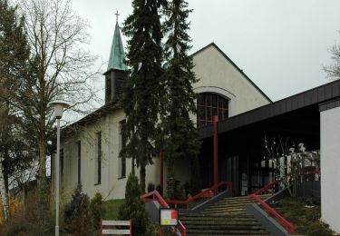 Tour Zu Fuß Flein - SB2 Vom Schozachtal zum Deinenbach - Weinwanderung - Photo