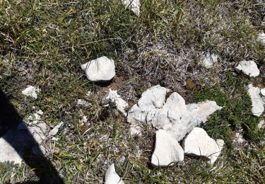 Trail Walking Die - le dôme par abbaye de valcroissant  - Photo