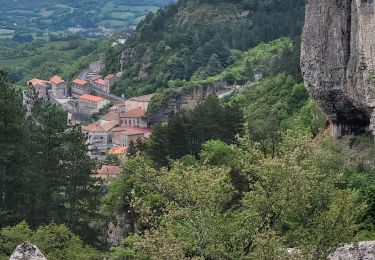 Trail Walking Roquefort-sur-Soulzon - le Combalou par le sentier des échelles - Photo
