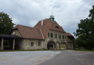 Trail On foot Gemeinde Jaidhof - 91 - Photo