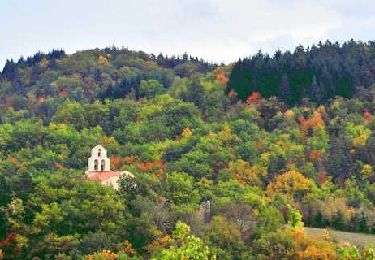 Trail Walking Jumeaux - Jumeaux_St_Jean - Photo