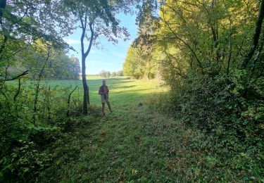 Randonnée Marche Vouthon-Haut - reco vers la Cumine - Photo