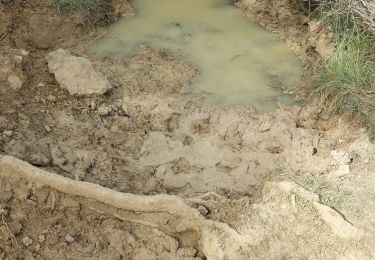 Percorso Marcia Le Revest-les-Eaux - La grotte des sables - Photo