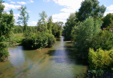 Percorso Marcia Reignac-sur-Indre - Reignac-sur-Indre - Azay-sur-Indre - 16.1km 145m 3h25 - 2020 06 22 - Photo