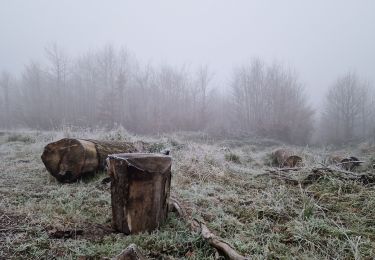 Randonnée Marche Septvaux - parcours prêt de septvaux  - Photo