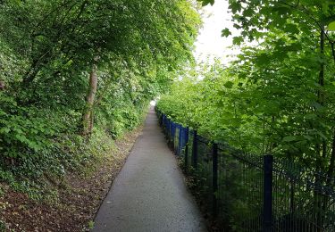 Trail Walking Liège - Rocourt - Grâce-Hollogne - Rocourt  - Photo