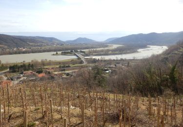 Trail Walking Arras-sur-Rhône - Arras surt Rhône 13 km - Photo
