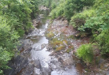 Tocht Noords wandelen Malmedy - longfaye_10_07_2022 - Photo