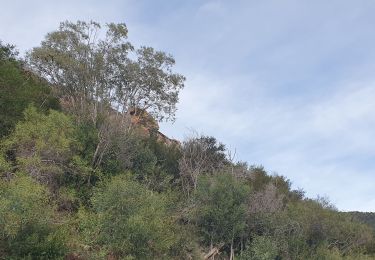 Tocht Stappen Le Lavandou - cavaliere 11 janvier 2023 par le temple d'hercule - Photo