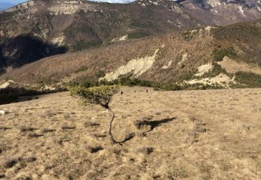 Randonnée Marche Teyssières - Le Cougoir - Photo