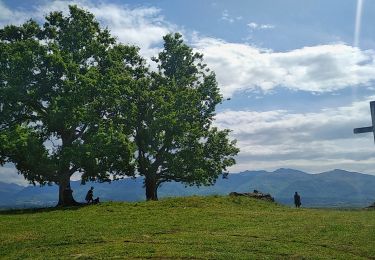 Tocht Stappen Escou - Croix d'Escout - Photo