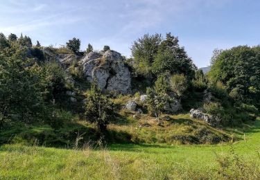 Percorso A piedi Berkatal - Rundweg Großer Marstein und Hielöcher - Photo