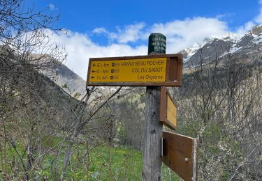 Tour Wandern Vaujany - 1 er Sabot 2023 de la neige et des fleurs  - Photo