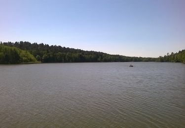 Tocht Te voet Schenkendöbern - Rund um den Göhlensee - Photo