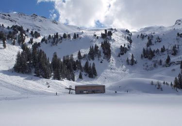 Tocht Te voet Quarten - Oberterzen - Heusee - Photo