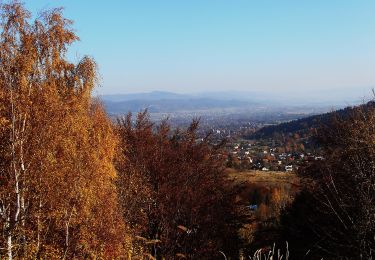 Tour Zu Fuß  - Wokół Centrum - Photo