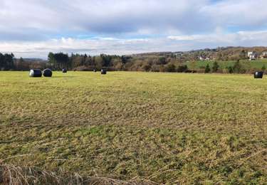 Tocht Te voet Anthisnes - D'Anthisnes à La Rock - Photo