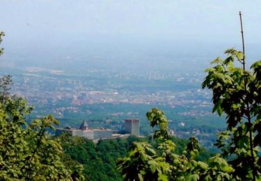 Randonnée A pied Zagreb - Planinarska staza Medvednica 41 - Photo