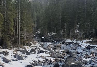 Trail Walking Sixt-Fer-à-Cheval - cascade du rouget - Photo