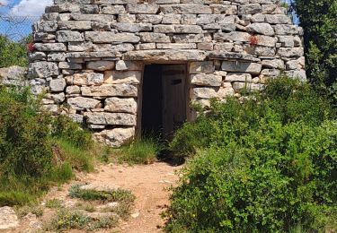 Trail Walking Éguilles - eguilles les bories - Photo