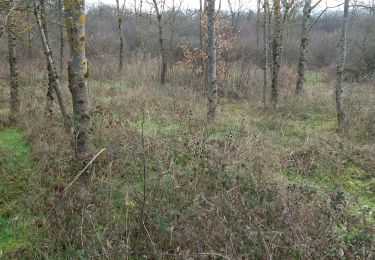 Randonnée Marche Parmilieu - sentier des bogues proposition - Photo