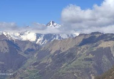 Trail Walking Ustou - Col de serre - Photo