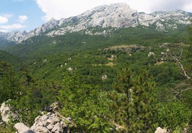 Tour Zu Fuß  - Dom u Velikoj Paklenici - Krajni brig - Photo