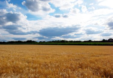 Tour Wandern Crécy-la-Chapelle - Les coteaux du Grand Morin - Photo