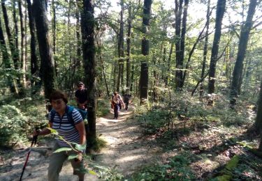 Trail Walking Saint-Germain-au-Mont-d'Or - prp - croix rampaux - circuit court - Photo