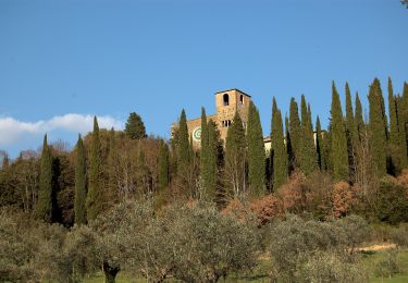 Percorso A piedi Perugia - Montelabate - Ventia - Photo