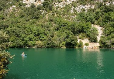 Excursión Senderismo Montmeyan - Basses gorges du Verdon Quinson - Photo