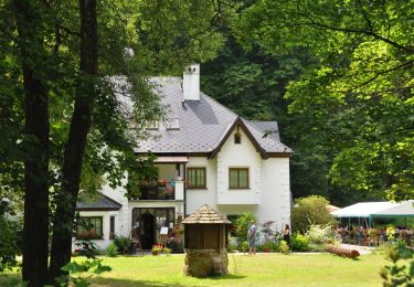 Percorso A piedi Nové Hrady - NS Terčino údolí - Photo