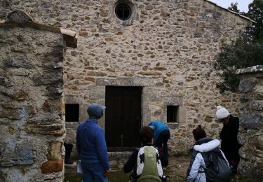 Tour Wandern Volx - la Roche Amère de Volx - Photo