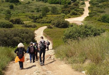 Trail Walking Marseille - la bararelle - Photo